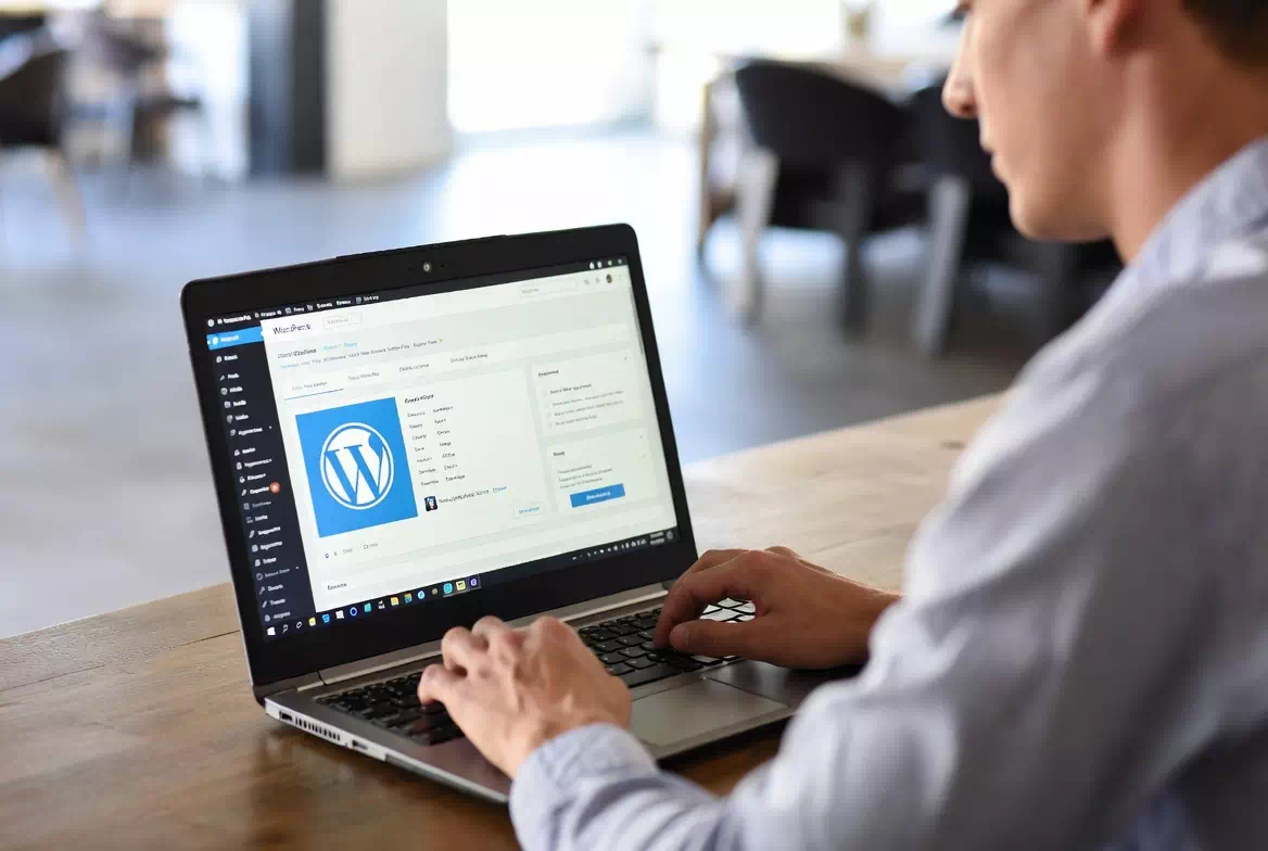 guide wordpress pour debutants